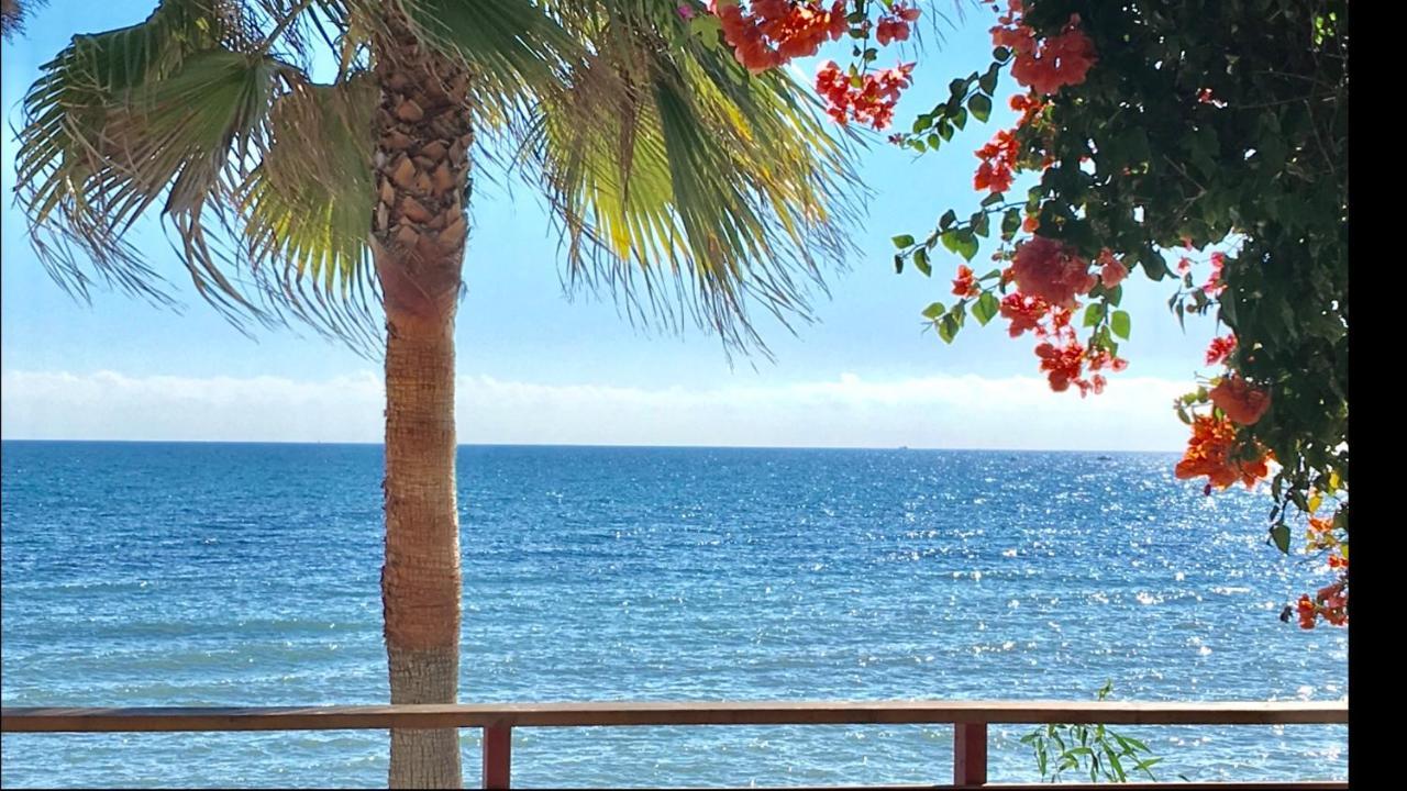 Mi Capricho 4C Beachfront -Apartment With Sea View - Costa Del Sol Sitio de Calahonda Kültér fotó